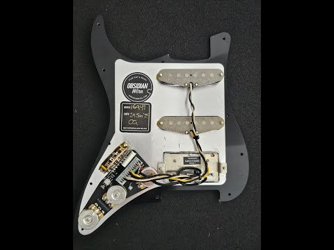 Sonderanfertigungen: HSS-bestücktes Schlagbrett für Strat®